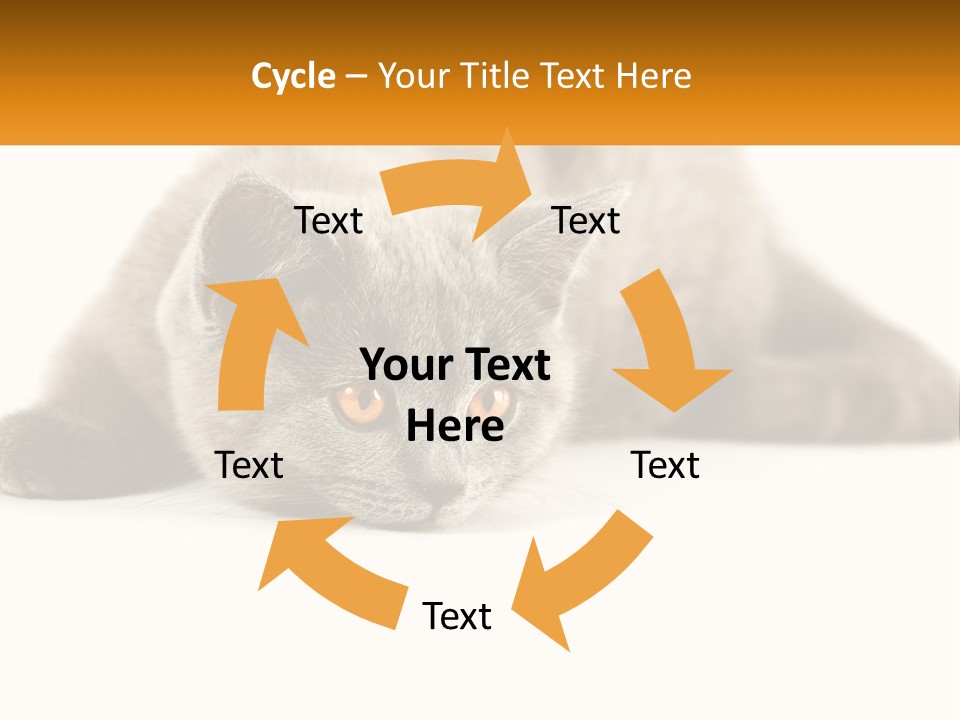 A Gray Cat Laying Down On A White Surface PowerPoint Template