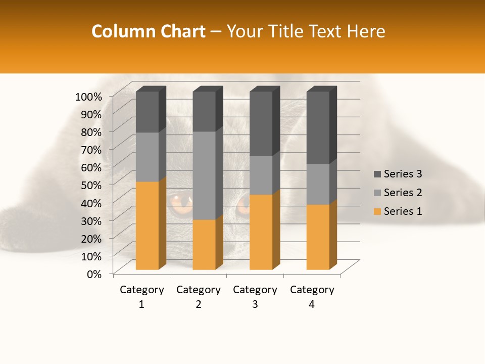A Gray Cat Laying Down On A White Surface PowerPoint Template