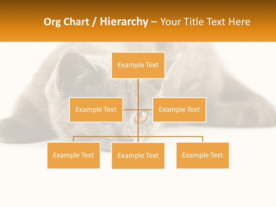 A Gray Cat Laying Down On A White Surface PowerPoint Template