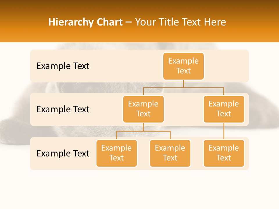 A Gray Cat Laying Down On A White Surface PowerPoint Template