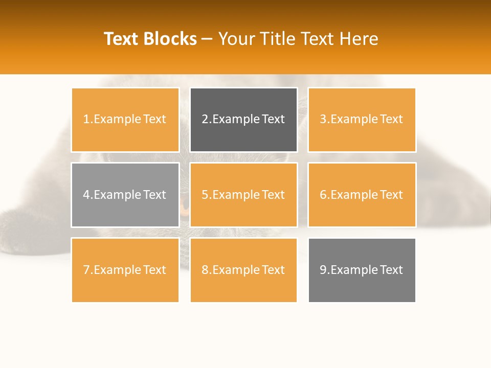 A Gray Cat Laying Down On A White Surface PowerPoint Template