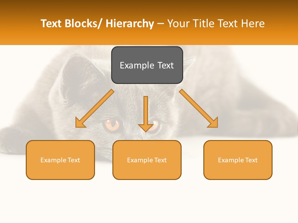 A Gray Cat Laying Down On A White Surface PowerPoint Template