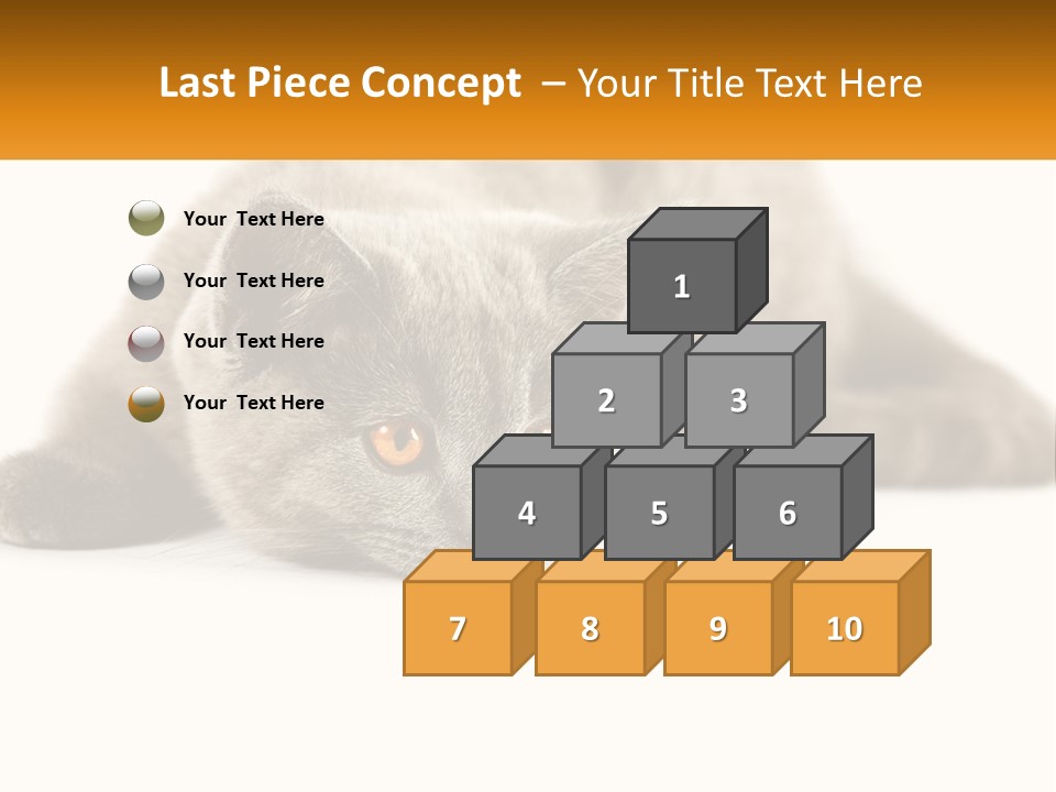 A Gray Cat Laying Down On A White Surface PowerPoint Template