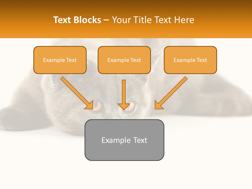 A Gray Cat Laying Down On A White Surface PowerPoint Template