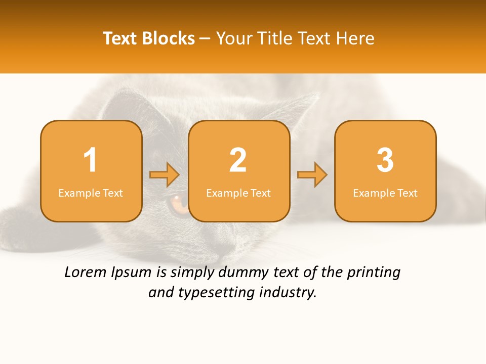 A Gray Cat Laying Down On A White Surface PowerPoint Template