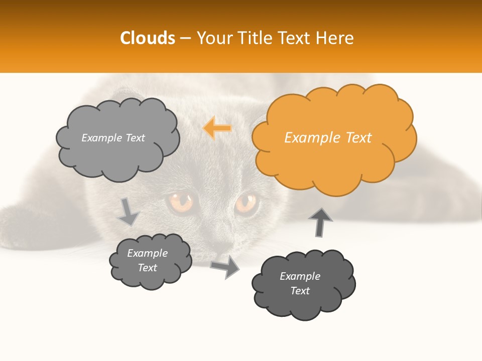 A Gray Cat Laying Down On A White Surface PowerPoint Template