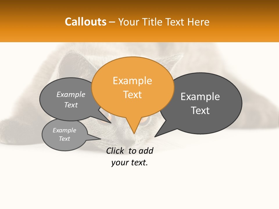 A Gray Cat Laying Down On A White Surface PowerPoint Template