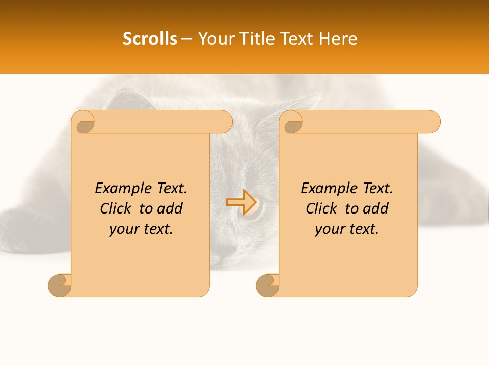 A Gray Cat Laying Down On A White Surface PowerPoint Template