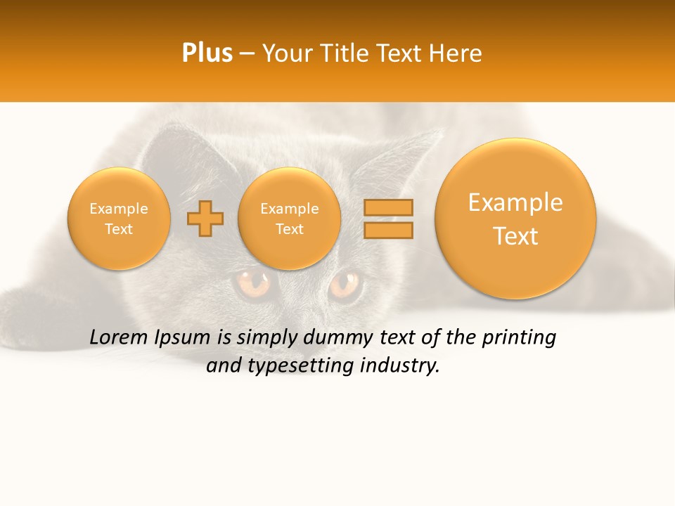 A Gray Cat Laying Down On A White Surface PowerPoint Template