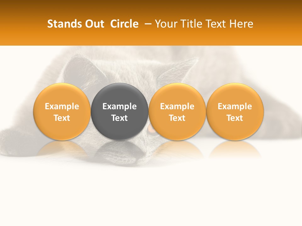 A Gray Cat Laying Down On A White Surface PowerPoint Template