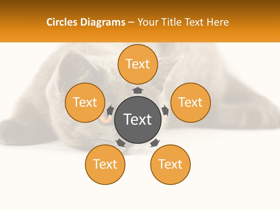 A Gray Cat Laying Down On A White Surface PowerPoint Template