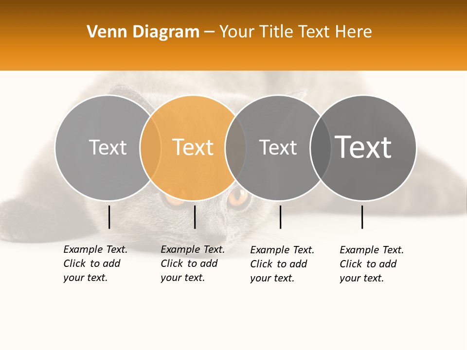 A Gray Cat Laying Down On A White Surface PowerPoint Template