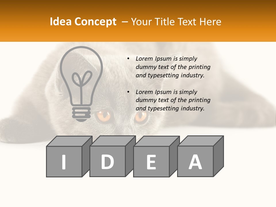 A Gray Cat Laying Down On A White Surface PowerPoint Template