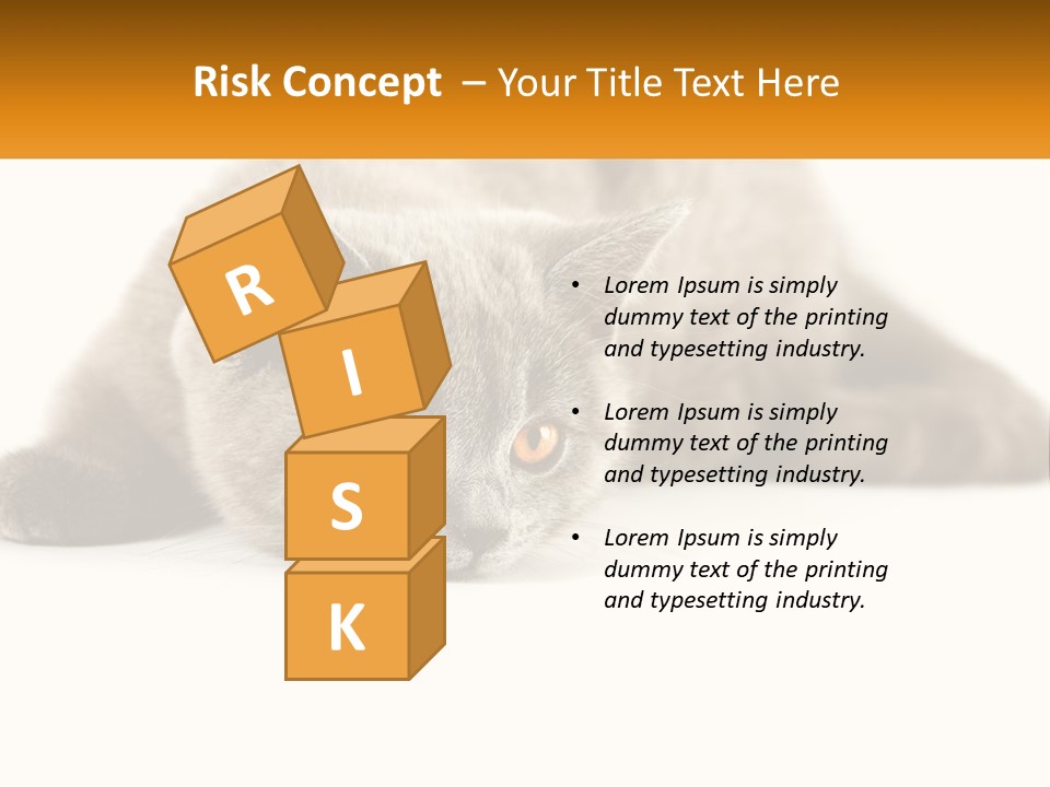 A Gray Cat Laying Down On A White Surface PowerPoint Template