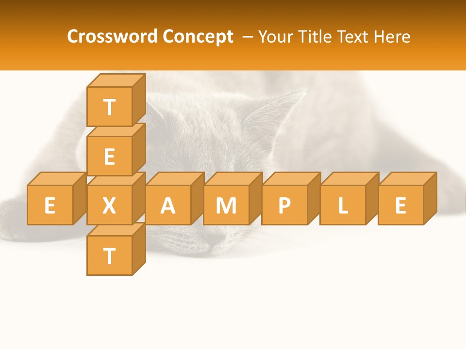 A Gray Cat Laying Down On A White Surface PowerPoint Template