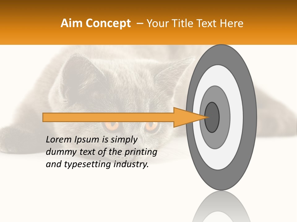 A Gray Cat Laying Down On A White Surface PowerPoint Template