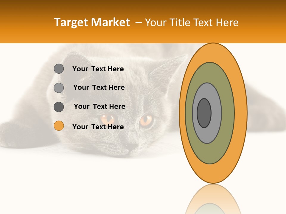 A Gray Cat Laying Down On A White Surface PowerPoint Template