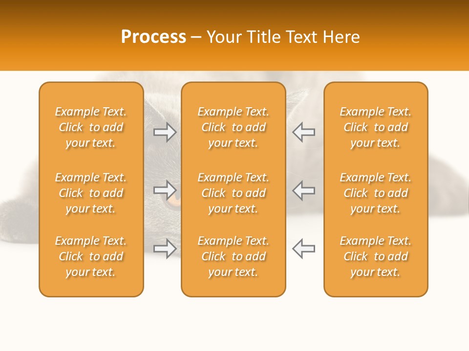 A Gray Cat Laying Down On A White Surface PowerPoint Template