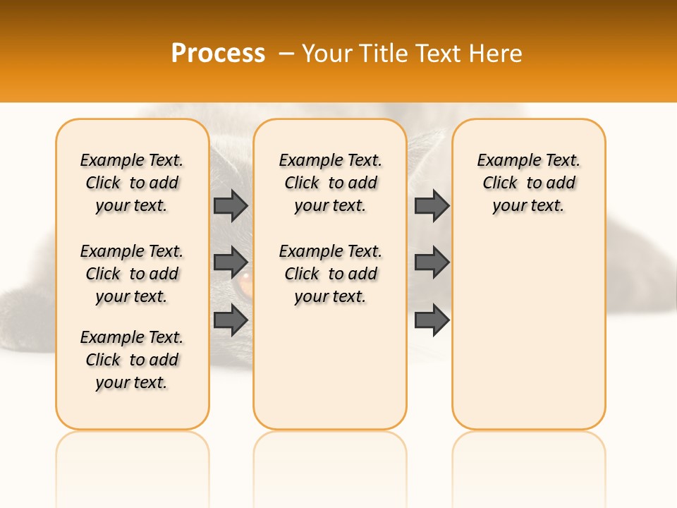 A Gray Cat Laying Down On A White Surface PowerPoint Template