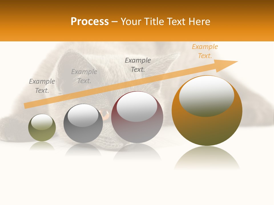 A Gray Cat Laying Down On A White Surface PowerPoint Template