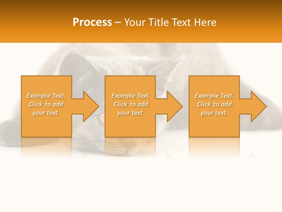 A Gray Cat Laying Down On A White Surface PowerPoint Template