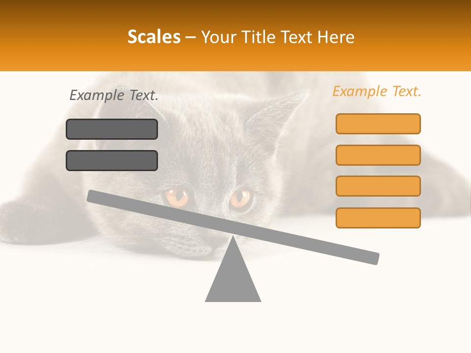 A Gray Cat Laying Down On A White Surface PowerPoint Template