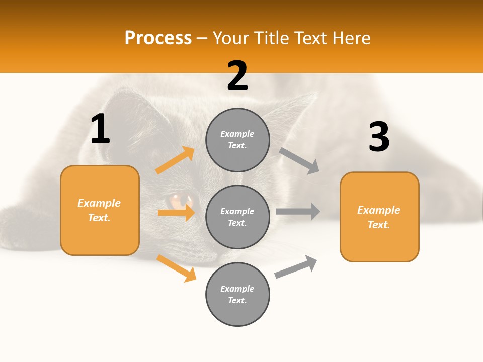 A Gray Cat Laying Down On A White Surface PowerPoint Template