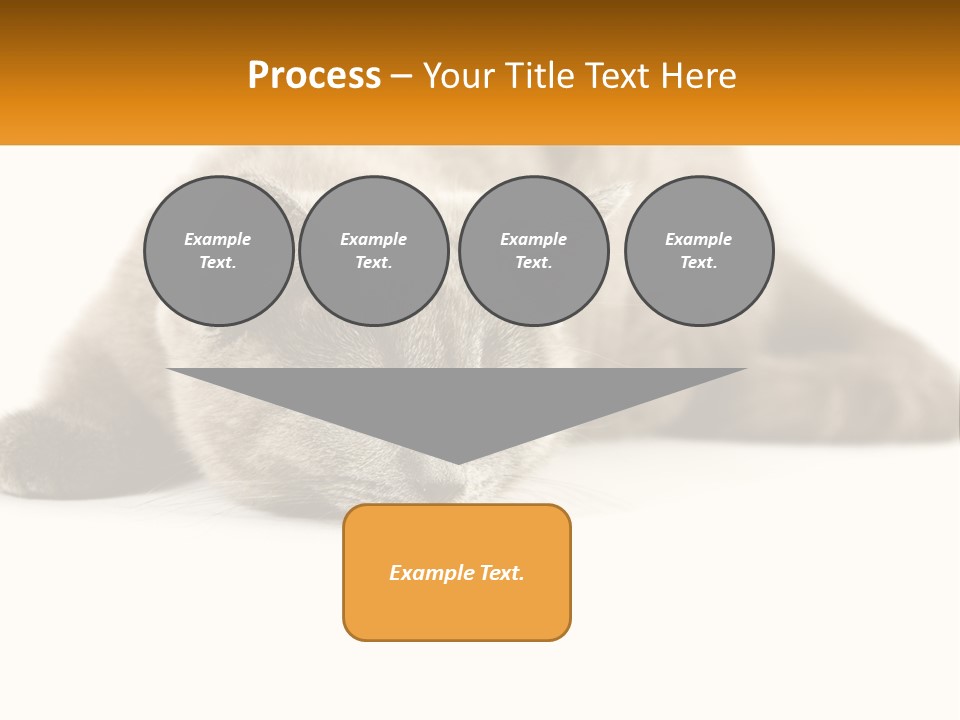 A Gray Cat Laying Down On A White Surface PowerPoint Template