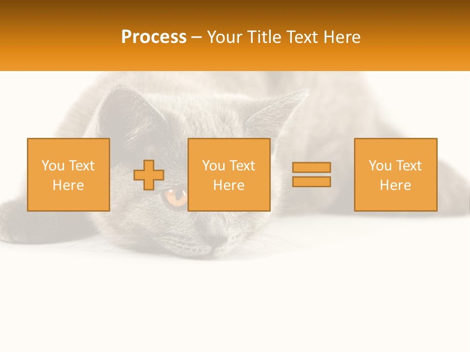 A Gray Cat Laying Down On A White Surface PowerPoint Template