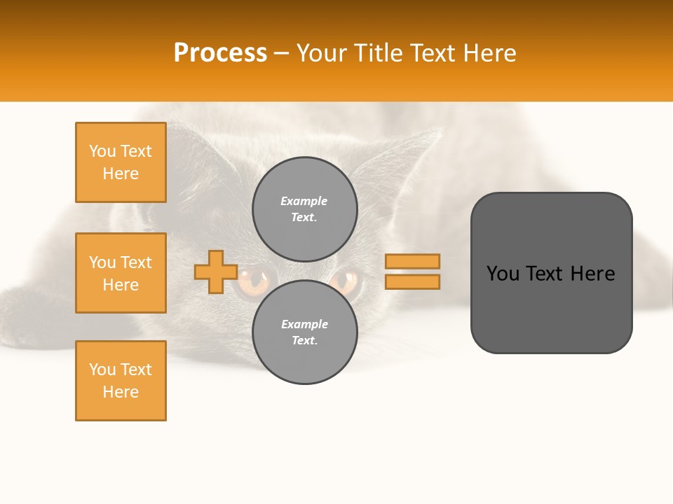 A Gray Cat Laying Down On A White Surface PowerPoint Template