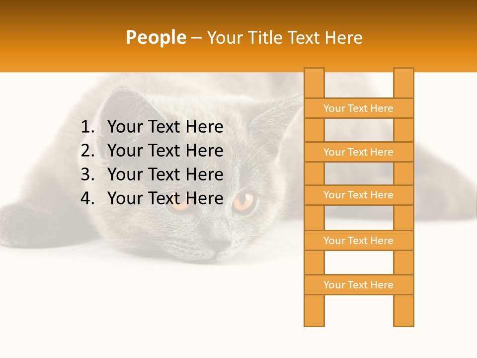 A Gray Cat Laying Down On A White Surface PowerPoint Template