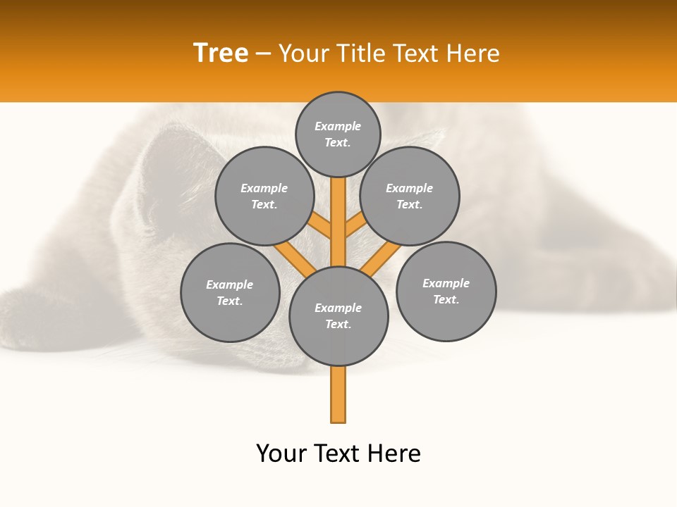 A Gray Cat Laying Down On A White Surface PowerPoint Template