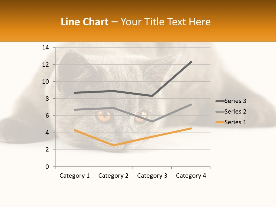 A Gray Cat Laying Down On A White Surface PowerPoint Template