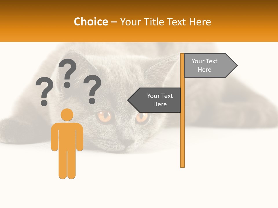 A Gray Cat Laying Down On A White Surface PowerPoint Template