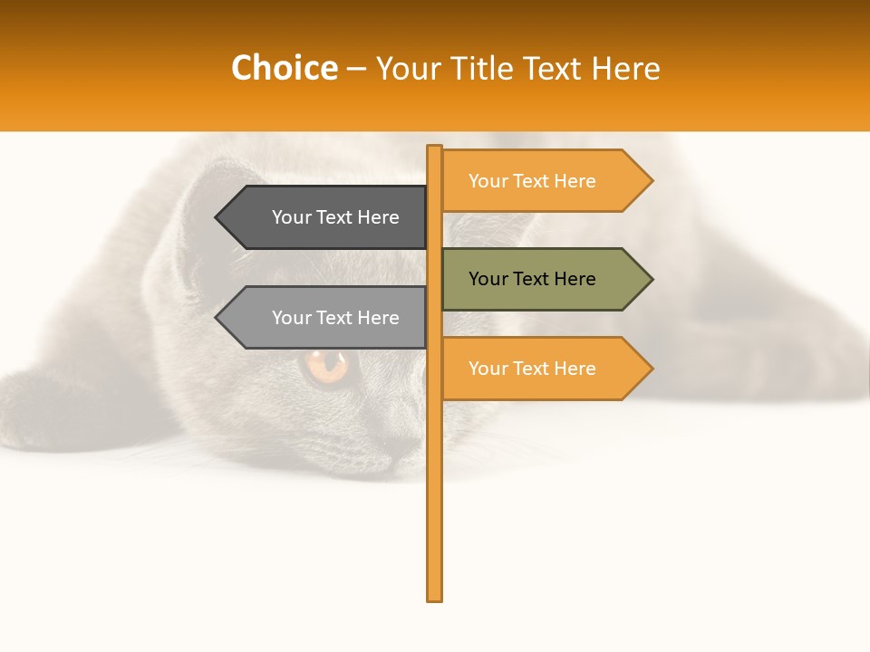 A Gray Cat Laying Down On A White Surface PowerPoint Template