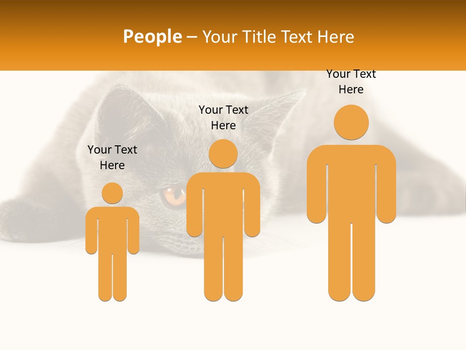 A Gray Cat Laying Down On A White Surface PowerPoint Template