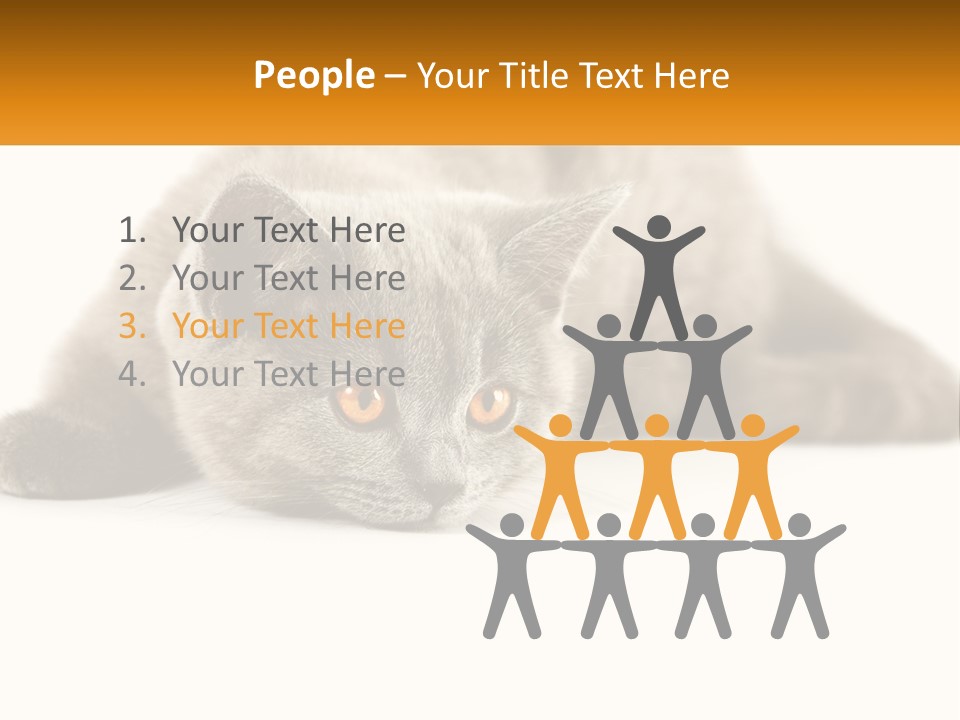 A Gray Cat Laying Down On A White Surface PowerPoint Template