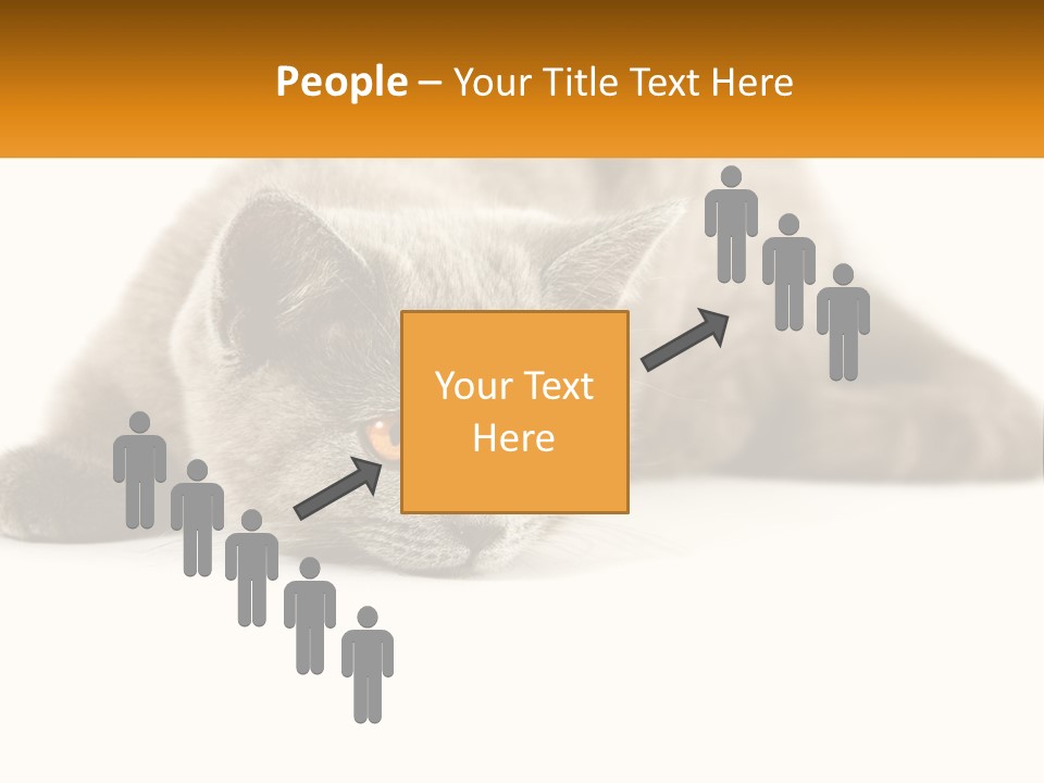 A Gray Cat Laying Down On A White Surface PowerPoint Template