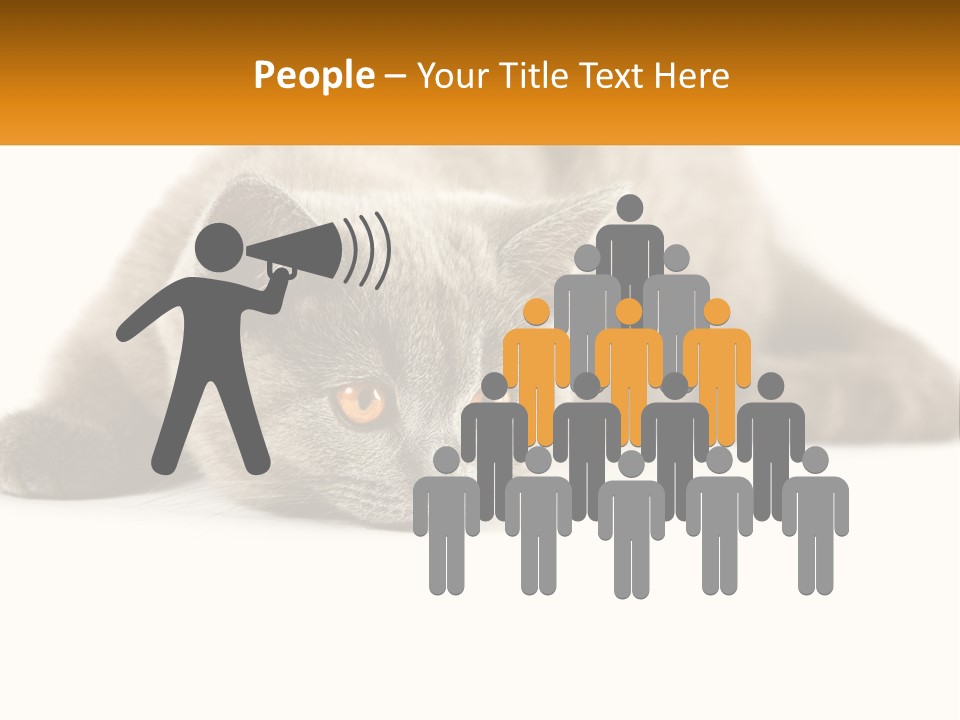 A Gray Cat Laying Down On A White Surface PowerPoint Template