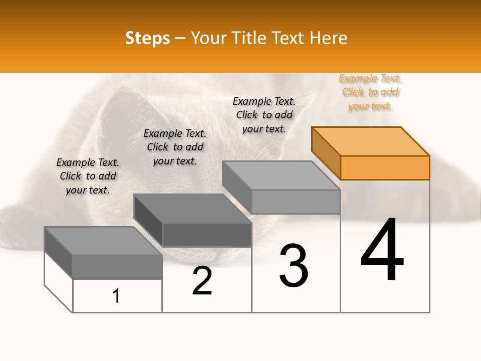 A Gray Cat Laying Down On A White Surface PowerPoint Template