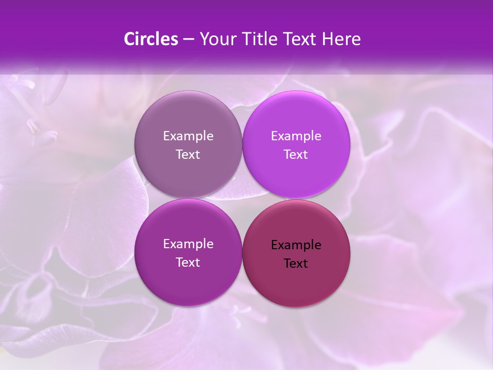 A Bunch Of Purple Flowers On A White Surface PowerPoint Template