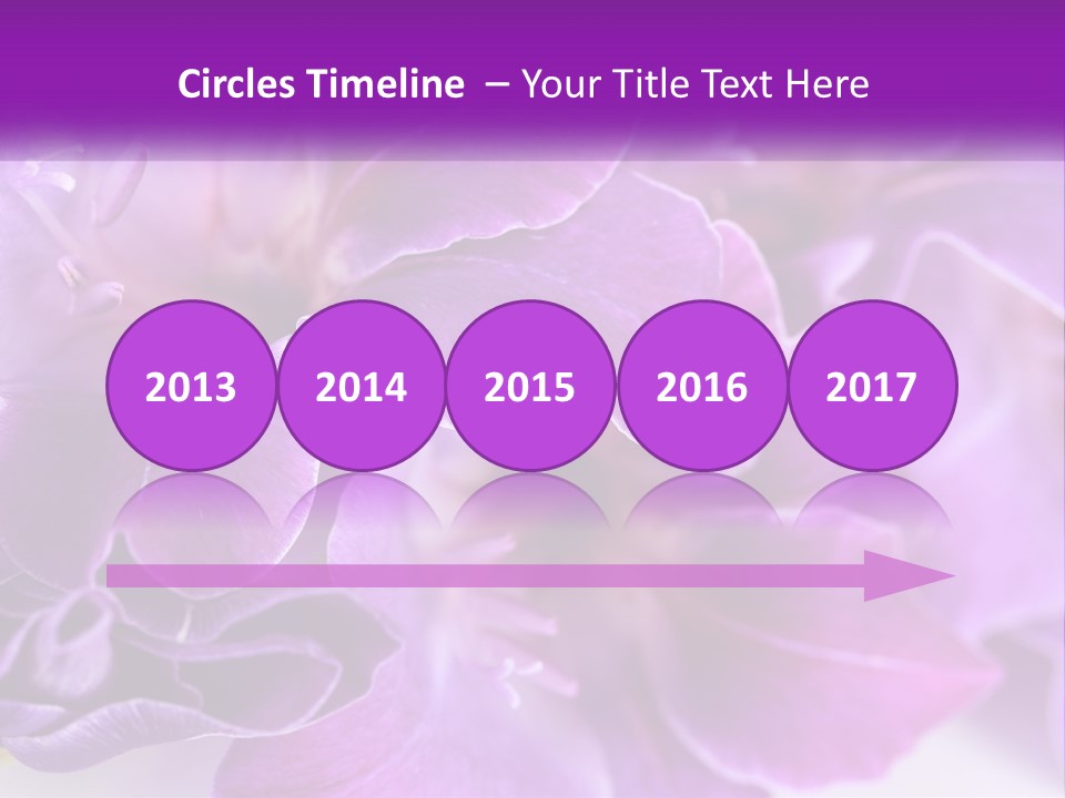 A Bunch Of Purple Flowers On A White Surface PowerPoint Template