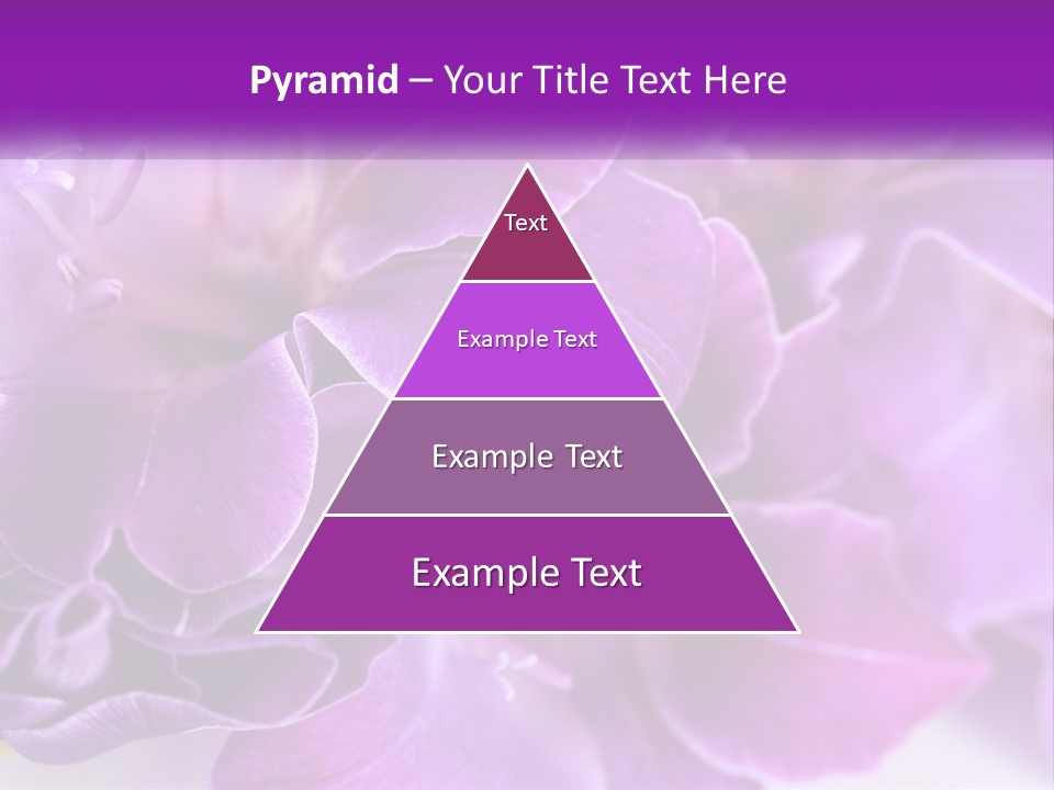 A Bunch Of Purple Flowers On A White Surface PowerPoint Template