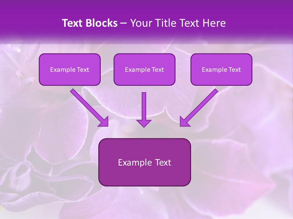 A Bunch Of Purple Flowers On A White Surface PowerPoint Template