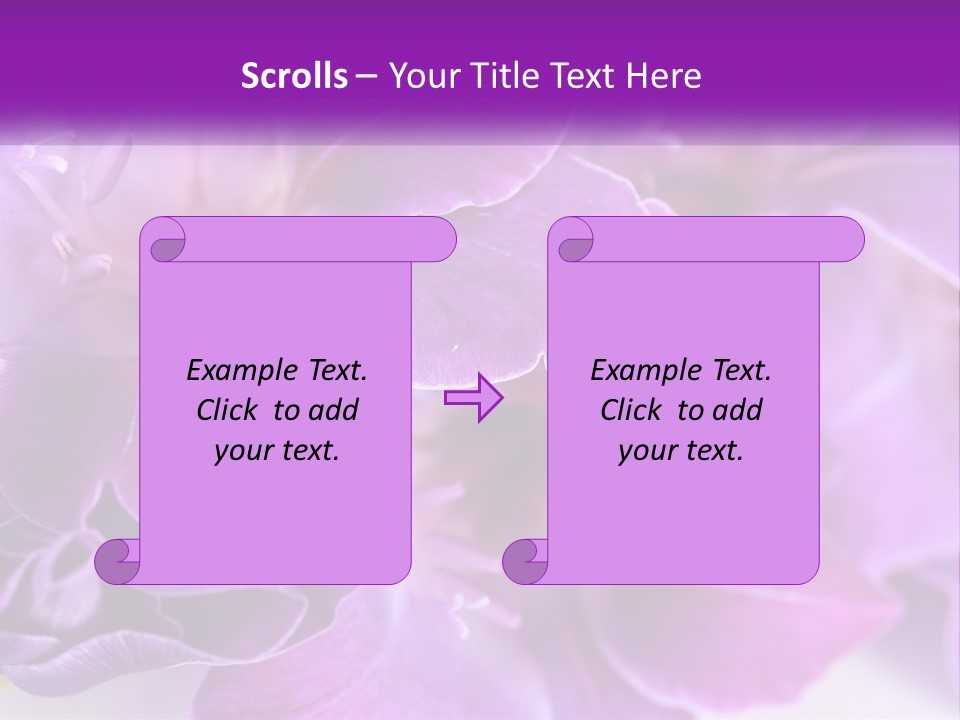 A Bunch Of Purple Flowers On A White Surface PowerPoint Template