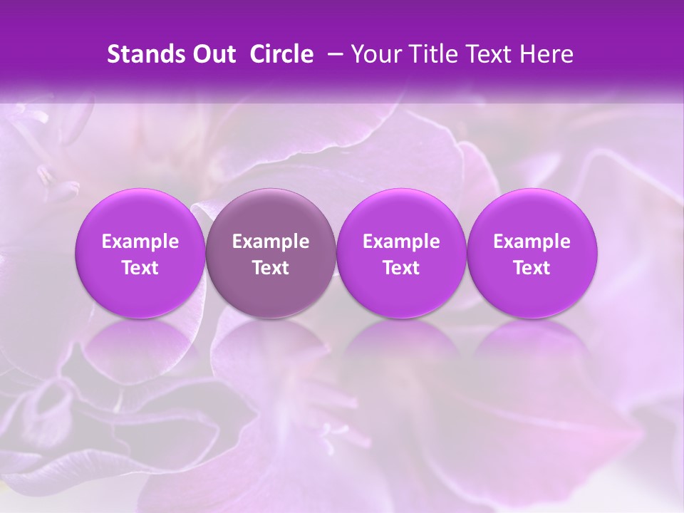 A Bunch Of Purple Flowers On A White Surface PowerPoint Template