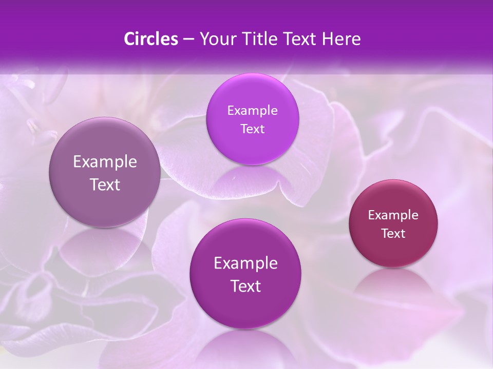 A Bunch Of Purple Flowers On A White Surface PowerPoint Template