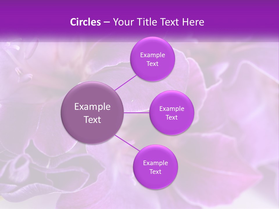 A Bunch Of Purple Flowers On A White Surface PowerPoint Template