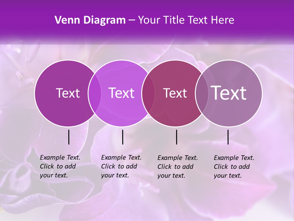 A Bunch Of Purple Flowers On A White Surface PowerPoint Template