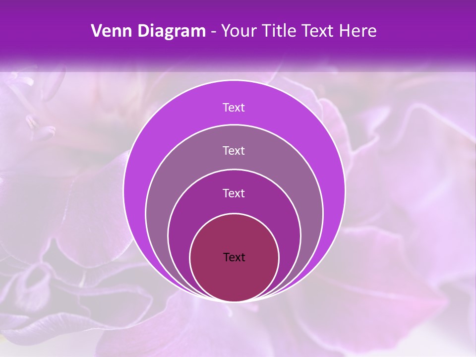 A Bunch Of Purple Flowers On A White Surface PowerPoint Template